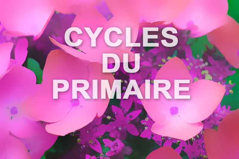 CYCLE 2 - Partie 1